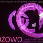 Różowo Różowo