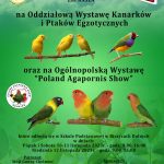 [Biczyce Dolne]: Oddziałowa Wystawa Kanarków i Ptaków Egzotycznych oraz Ogólnopolska Wystawa ”Poland Agapornis Show”