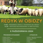 [Obidza]: Redyk w Obidzy